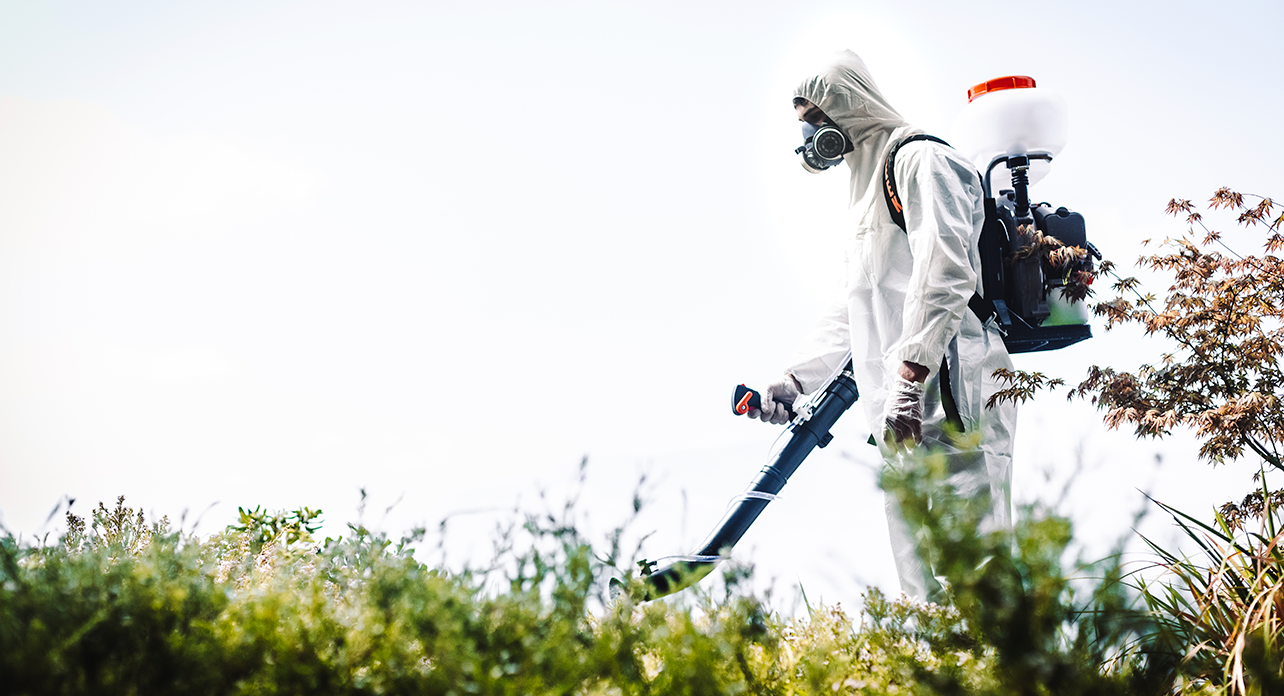 van Beek Power Tools